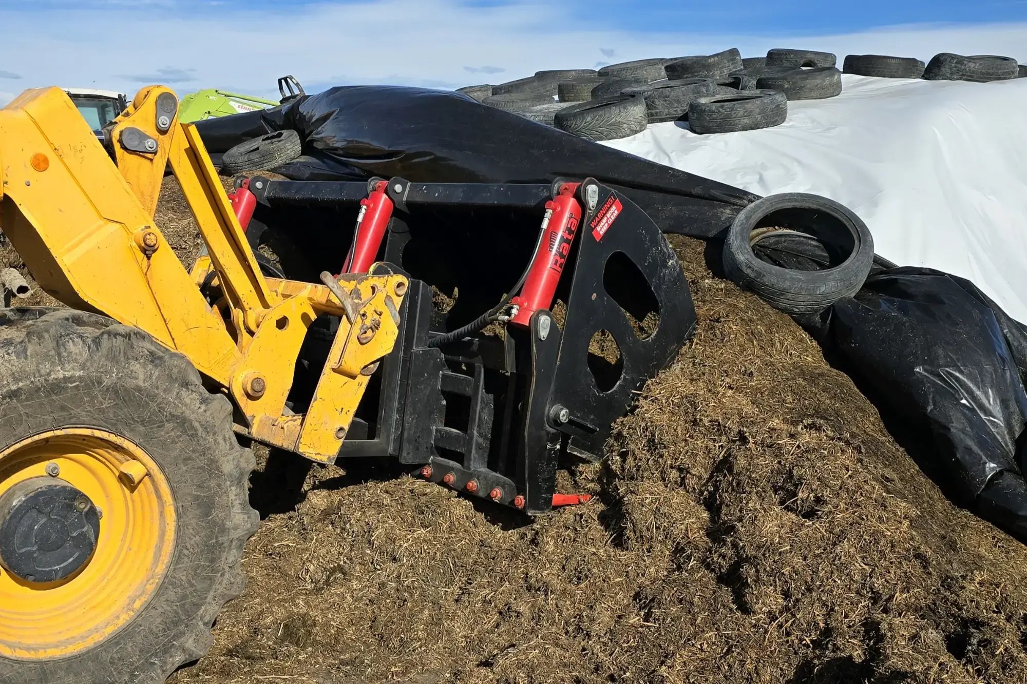 2025.3.18 Rata Shear Grab 1 2000 pix (1)