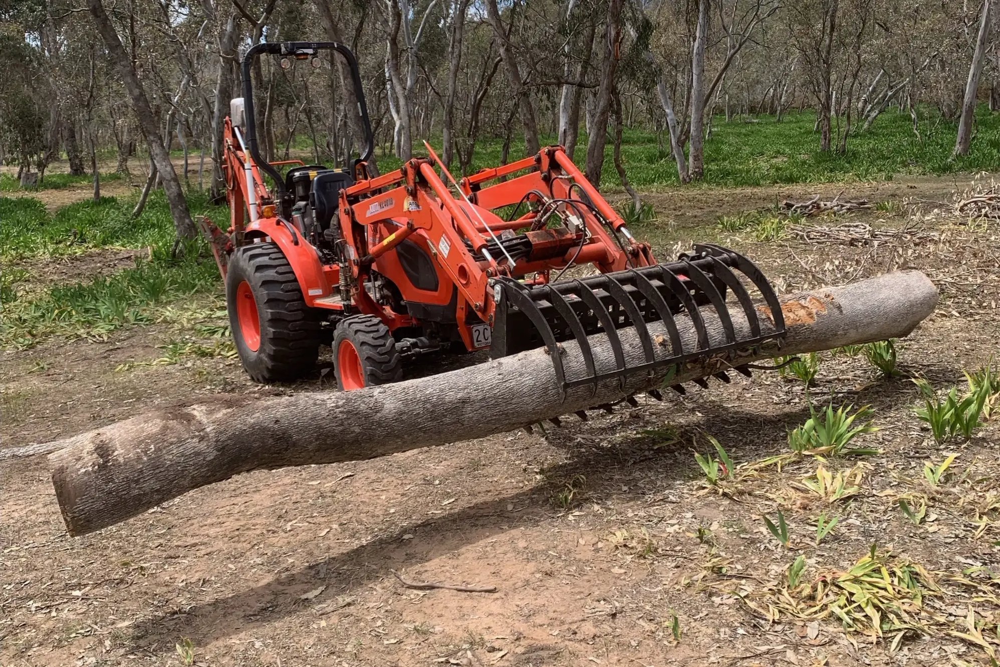 22.10.2025 Compact Power Claw John Teague 3 (2000pix)