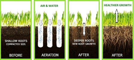 Soil Aeration In Grass