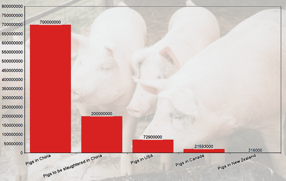 Graph showing global pig numbers