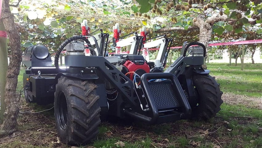 Robotic kiwi fruit harvester