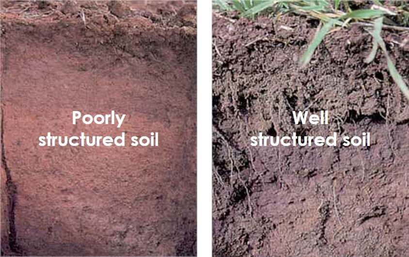 Poor v Well structured soils