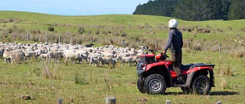 Quad on farm