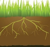 Subsoil Aeration info graphics JULY19 ƒ3