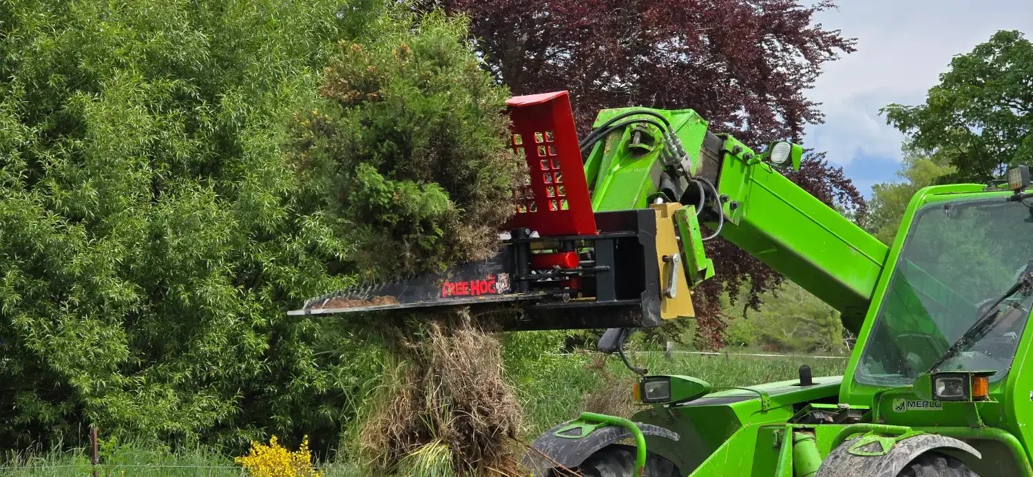 Rata Tree Hog 1500 pix (1)