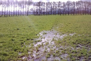 Effect of soil compaction (1)