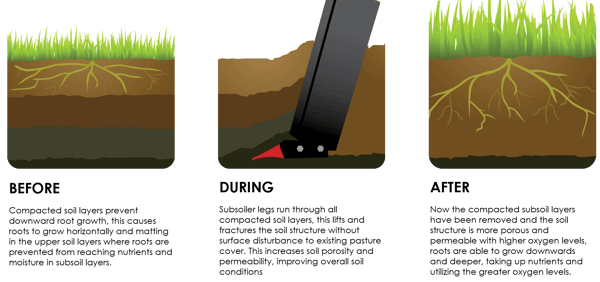 Infographic S&A