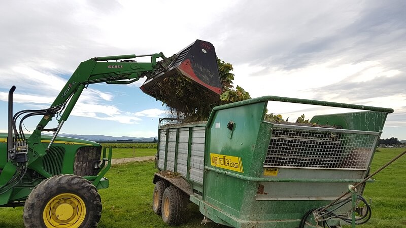 Rata Beet Bucket unloading fodder beet into feed out wagon