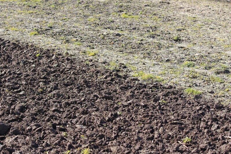 Ground turned over by Rata 813 maxitill