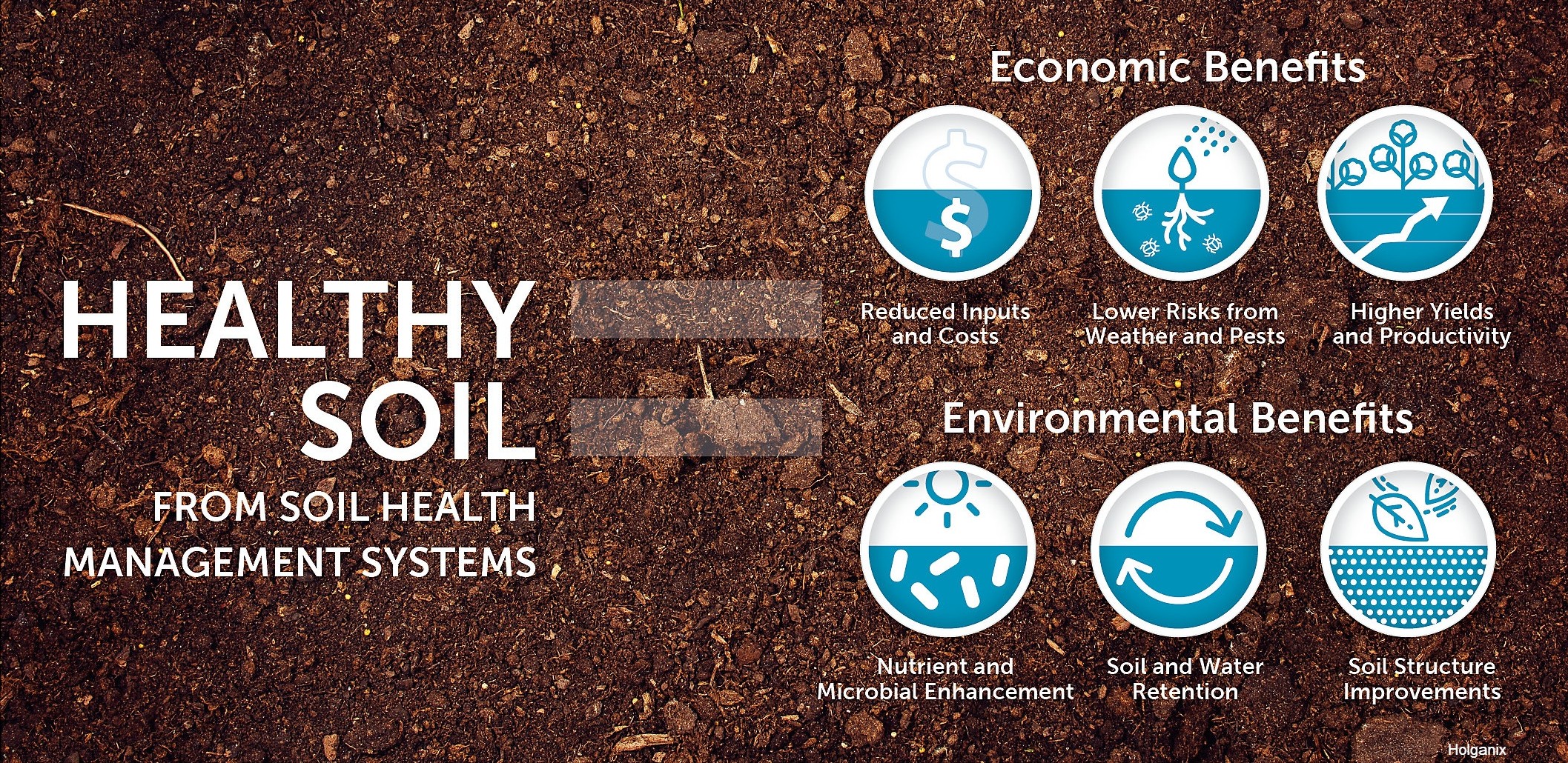 healthy_soil_HR-soil-seeding-1