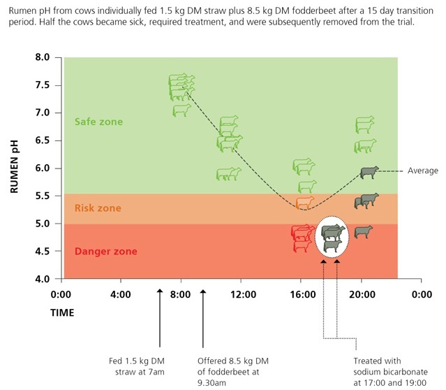 rumen-ph-graph