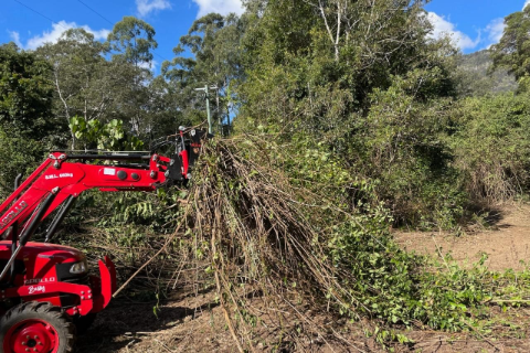 2025.1.30 Rata Mid Range Power Claw 480 pix