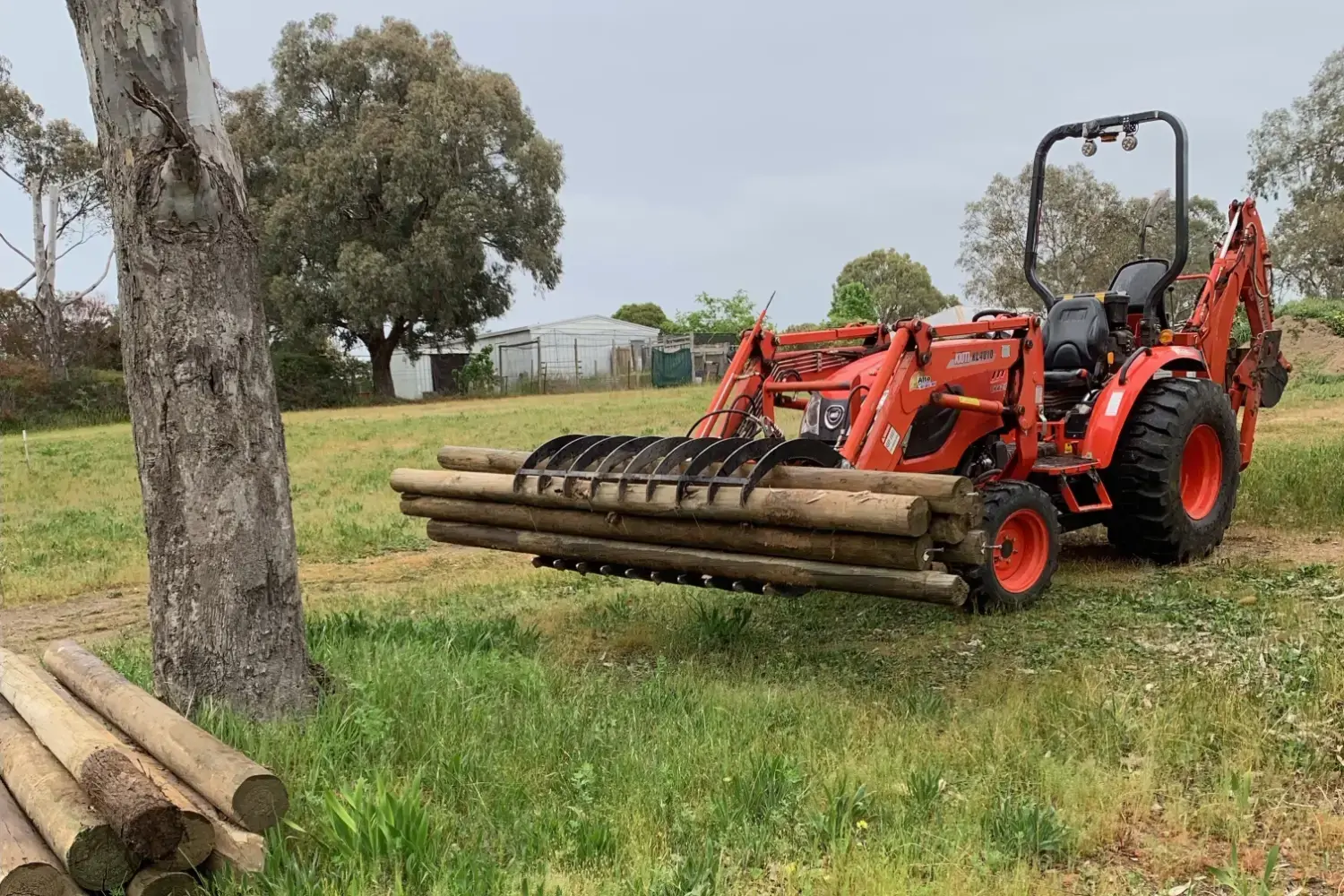 22.10.2025 Compact Power Claw John Teague 1 (1500pix)