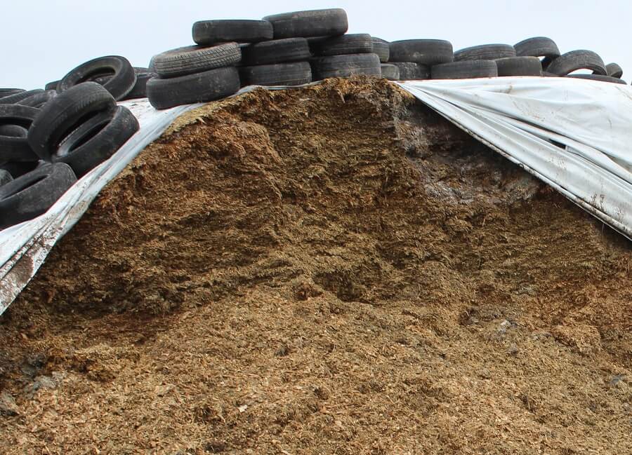 opened silage stack