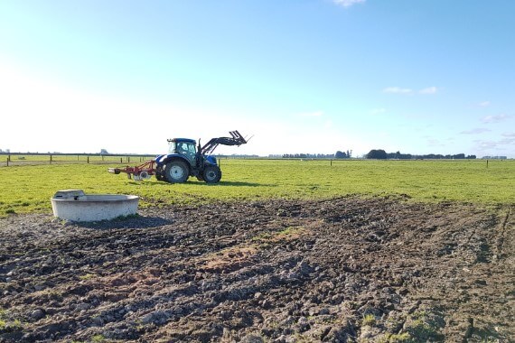 Water Trough low growth area Panerazr