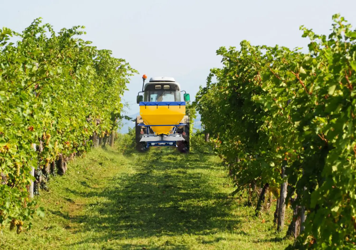 Cone Spreader in Vineyard