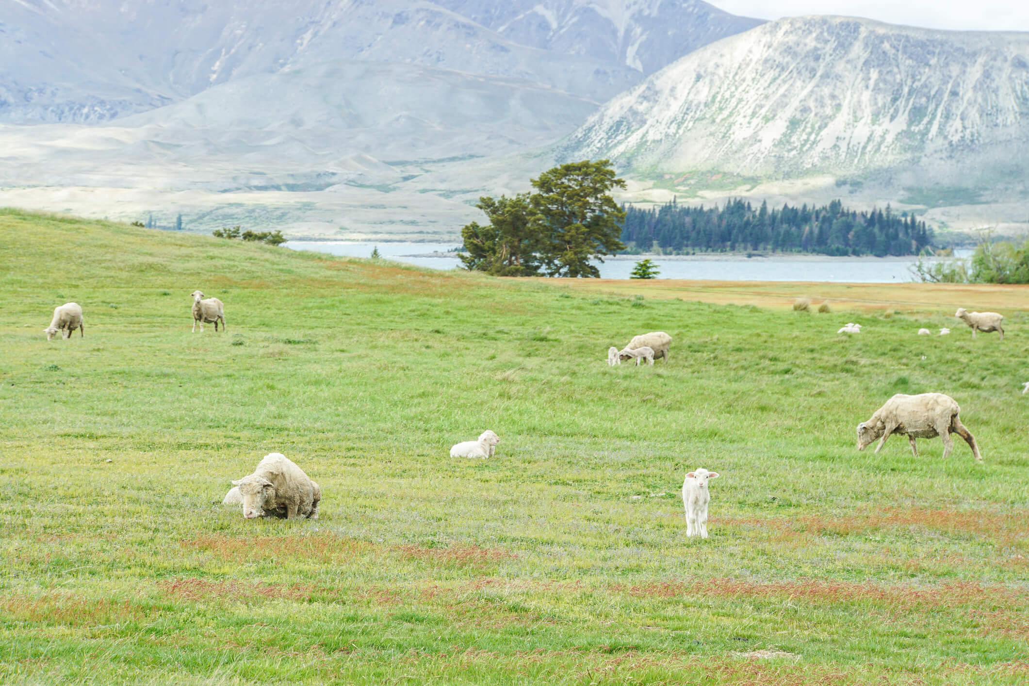 End-of-winter tips to help get your farm ready for spring